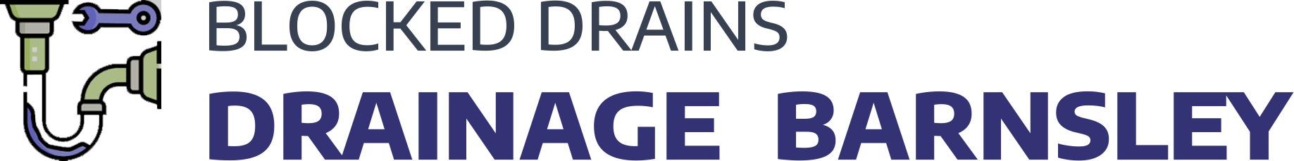 website logo